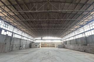 Gewerbeimmobilie mieten in Wackenbergstraße 65-75, 13156 Niederschönhausen, Halle in zentraler Lage mit BImSchG-Genehmigung als Sortieranlage