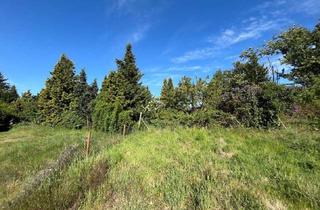 Grundstück zu kaufen in 39326 Zielitz, Großzügige Grünfläche in Ortslage von 39326 Zielitz
