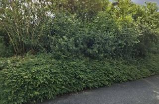 Grundstück zu kaufen in 32676 Lügde, Lügde - Großes Grundstück in Lügde