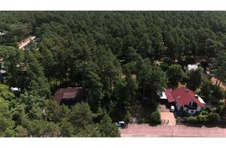 Grundstück zu kaufen in 06774 Muldestausee, Muldestausee - Wohnen im Wald: Idyllisches Baugrundstück nahe des Muldestausees