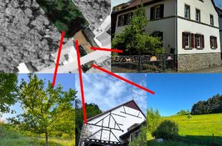 Bauernhaus kaufen in 55592 Rehborn, Rehborn - Sicherer Ort für Selbstversorger, Handwerker, Imker, Tierfreunde
