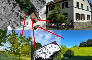 Bauernhaus kaufen in 55592 Rehborn, Rehborn - Sicherer Ort für Selbstversorger, Handwerker, Imker, Tierfreunde