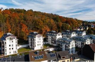 Wohnung kaufen in 09337 Hohenstein-Ernstthal, Hohenstein-Ernstthal - Zwei nebeneinanderliegende Eigentumswohnungen