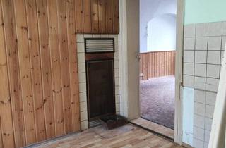 Mehrfamilienhaus kaufen in 07922 Tanna, Tanna - Stilvolloes Wohnhaus zum Sanieren 2 Wohnungen, großer Garten