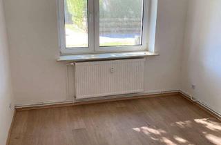 Wohnung mieten in Gartenweg 12, 23974 Blowatz, attraktive 2 Zimmerwohnung in Blowatz - Erstbezug nach Renovierung