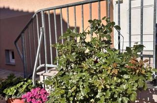 Wohnung mieten in Zeitzer Straße 106, 06729 Elsteraue, Wohnung in Elsteraue