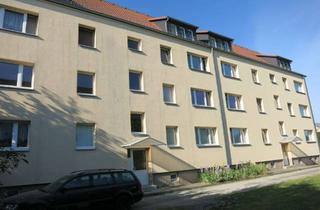 Wohnung mieten in Amtsweg 2a, 04838 Doberschütz, 3-Raum-Wohnung im Erdgeschoss - Erstbezug nach Sanierung