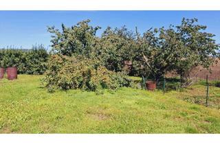 Doppelhaushälfte kaufen in Kägsdorfer Landweg, 18225 Kühlungsborn, Doppelhaushälfte in Ostseenähe / Sanierung notwendig