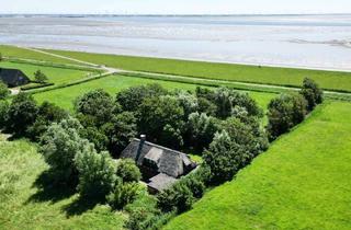 Haus kaufen in 25836 Vollerwiek, Nordseeidylle bei St. Peter-Ording – Historisches Reetdachhaus am Deich auf 13.975 m² Grundstück
