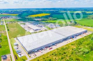 Gewerbeimmobilie mieten in 30880 Laatzen, ! Temporäre Anmietungsmöglichkeit ☆ 6 – 12 Monate ☆ bis zu 25.000 m² ☆ teilbar ☆ provisionsfrei !