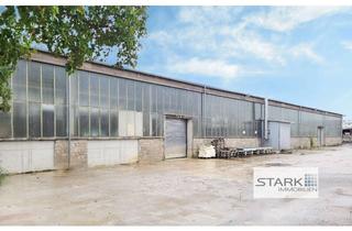 Büro zu mieten in 97268 Kirchheim, Beheizbare Werkhalle - ideal für Steinmetzbetrieb oder holzverarbeitendes Gewerbe, Büros vorhanden!