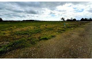 Grundstück zu kaufen in 52391 Vettweiß, **Baugrundstück mit unverbautem Blick in Felder und Natur**