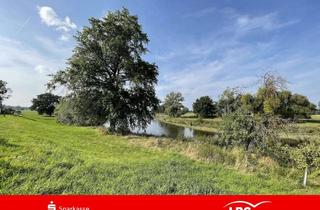 Grundstück zu kaufen in 04838 Laußig, Idyllisches Baugrundstück in Gruna