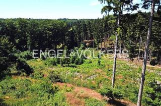 Grundstück zu kaufen in 21218 Seevetal, Exklusiv & Einzigartig: Teilbares Villengrundstück mit Weitblick in exponierter Toplage