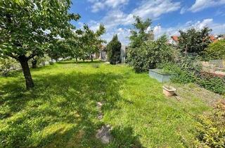 Grundstück zu kaufen in Grubenweg 9D0, 63791 Karlstein, Voll erschlossenes Baugrundstück mit aufstehenden Gebäude*****