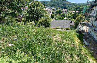 Grundstück zu kaufen in 67661 Mölschbach, KL - Mölschbach, Grundstück mit toller Aussicht