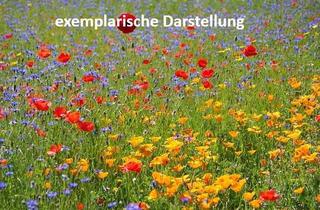 Grundstück zu kaufen in 85114 Buxheim, Großzügiges Baugrundstück – Frei planbar ohne Bebauungsplan!