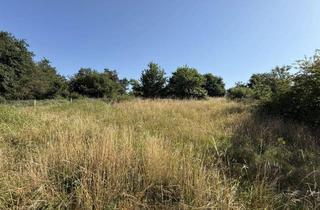 Grundstück zu kaufen in 54538 Kinderbeuern, Attraktives Baugrundstück | ca. 1.400 m² Fläche in entwickelter Lage | 54538 Kinderbeuern