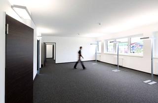 Büro zu mieten in Bäckerstraße, 21244 Buchholz, Teambüro inkl. eigenem Chefbüro für Start-ups und junge Unternehmen