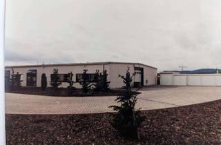 Gewerbeimmobilie kaufen in Nikolaus-Otto-Straße 13, 55543 Bad Kreuznach, Gewerbeimmobilie mit Büro und Halle in Top-Lage von Bad Kreuznach