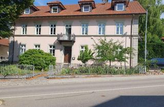 Gewerbeimmobilie mieten in 79865 Grafenhausen, Interessante Gewerbeeinheit