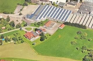 Lager kaufen in 71540 Murrhardt, Großes Anwesen mit Halle/ Büro, 2 Wohnhäuser sowie Bauplatz auf gesamt fast 20.00 m² Grundstück