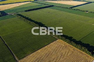 Gewerbeimmobilie kaufen in 15713 Königs Wusterhausen, 10.000 m² Grundstück zum Verkauf