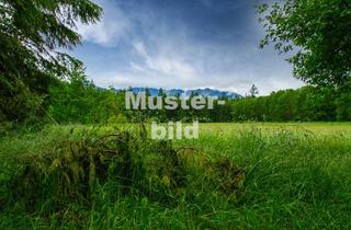 Gewerbeimmobilie kaufen in 75394 Oberreichenbach, Diverse Land- und Waldflächen in Oberreichenbach