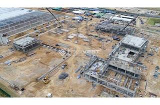 Gewerbeimmobilie mieten in 31582 Nienburg, Projektierter Neubau einer Logistikhalle in verkehrsgünstiger Lage