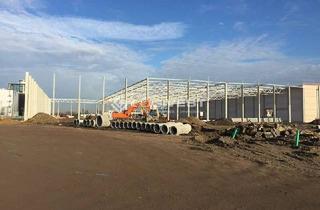 Gewerbeimmobilie mieten in 49661 Cloppenburg, Projektierter Neubau einer Lager- und Logistikhalle nahe der A1