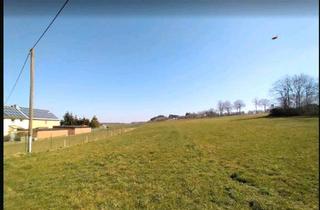 Einfamilienhaus kaufen in 54558 Gillenfeld, Gillenfeld - landwirtschaftliches Anwesen mit 5,5 ha Land - 3 Wohneinheiten
