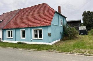 Einfamilienhaus kaufen in 17168 Jördenstorf, Jördenstorf - Haus mit großem Grundstück und viel Potenzial