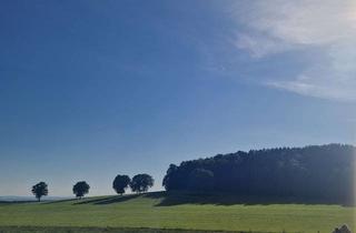 Wohnung kaufen in 01833 Dürrröhrsdorf-Dittersbach, Direkt einziehen oder als Anlage - ruhige Lage von Dürrröhrsdorf-Dittersbach