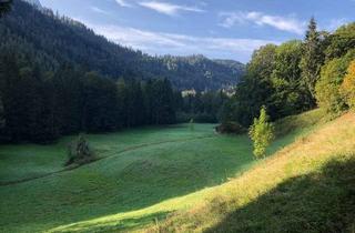 Haus kaufen in 83324 Ruhpolding, Rarität: Niederalm mit Hütte in Alleinlage mit Wald