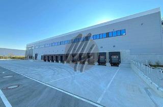 Büro zu mieten in 63179 Obertshausen, KEINE PROVISION ✓ RAMPE + EBEN ✓ 24/7 ✓ WGK 3 ✓ Lager-/Logistik (10.000 m²) & Büro (700 m²)