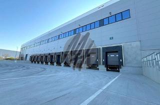 Büro zu mieten in 63150 Heusenstamm, KEINE PROVISION ✓ RAMPE + EBEN ✓ 24/7 ✓ WGK 3 ✓ Lager-/Logistik (10.000 m²) & Büro (700 m²)