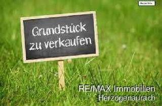 Grundstück zu kaufen in 91085 Weisendorf, 3890 m² Bauland mit Altbestand