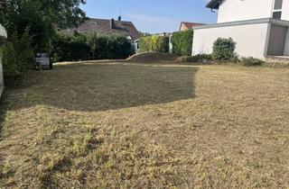 Grundstück zu kaufen in 74252 Massenbachhausen, TOP-Bauplatz in Massenbachhausen in schöner grüner Wohngebietslage!