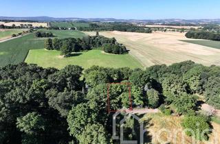 Grundstück zu kaufen in 02625 Bautzen, Ihr Rückzugsort im Grünen – Freizeitgrundstück mit Datsche in Salzenforst bei Bautzen