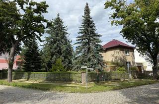 Grundstück zu kaufen in 16341 Panketal, DEUTSCHMANN IMMOBILIEN ***** ivd - Komplett beräumter Grundstücks-Traum in Panketaler Trend-Lage!