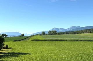  in 83367 Petting, Baugrundstück für ein Einfamilienhaus in Erbpacht in wunderschöner Ortsrandlage