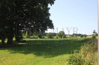 Gewerbeimmobilie mieten in 82343 Pöcking, VERMIETUNG: Provisionsfreie Gewerberäume in verkehrsgünstiger Lage!