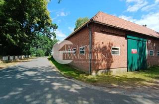 Lager mieten in 29588 Oetzen, Vielseitig nutzbare Scheune/Halle in Süttorf zur Vermietung