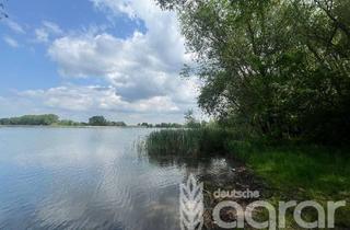 Gewerbeimmobilie kaufen in 99439 Ramsla, Wassergrundstück mit Waldanteil (ca. 2 ha) nördlich von Weimar