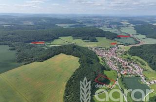 Gewerbeimmobilie kaufen in 37318 Lutter, Acker, Wald und Wiese (ca. 2,5 ha) bei Heilbad Heiligenstadt