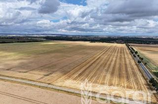 Gewerbeimmobilie kaufen in 38838 Huysburg, Acker (ca. 6,3 ha) zw. Halberstadt und Helmstedt