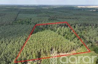 Gewerbeimmobilie kaufen in 14662 Mühlenberge, Diversifizierter Nadelmischwald (ca. 4 ha) nur ca. 60 km nord-westlich von Berlin bei Friesack