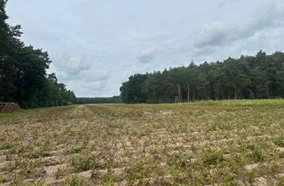 Gewerbeimmobilie kaufen in 49762 Renkenberge, Landwirtschaftliche Fläche in Oberlangen gegen Gebot