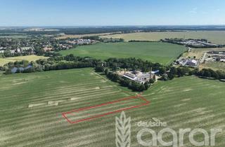 Gewerbeimmobilie kaufen in 18469 Velgast, Acker (ca. 0,5 ha) südwestlich von Stralsund für Jedermann