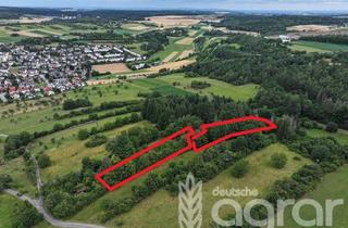 Gewerbeimmobilie kaufen in 71296 Heimsheim, Artenreicher Laub- und Nadelmischwald (ca. 0,4 ha) in Heimsheim zw. Pforzheim und Stuttgart
